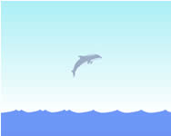 delfines - Dolphinolympics